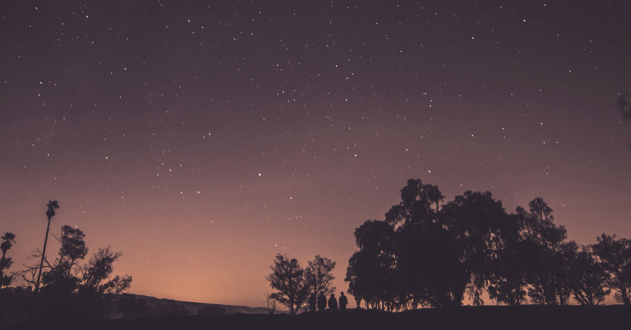 janpopan's profile banner image
