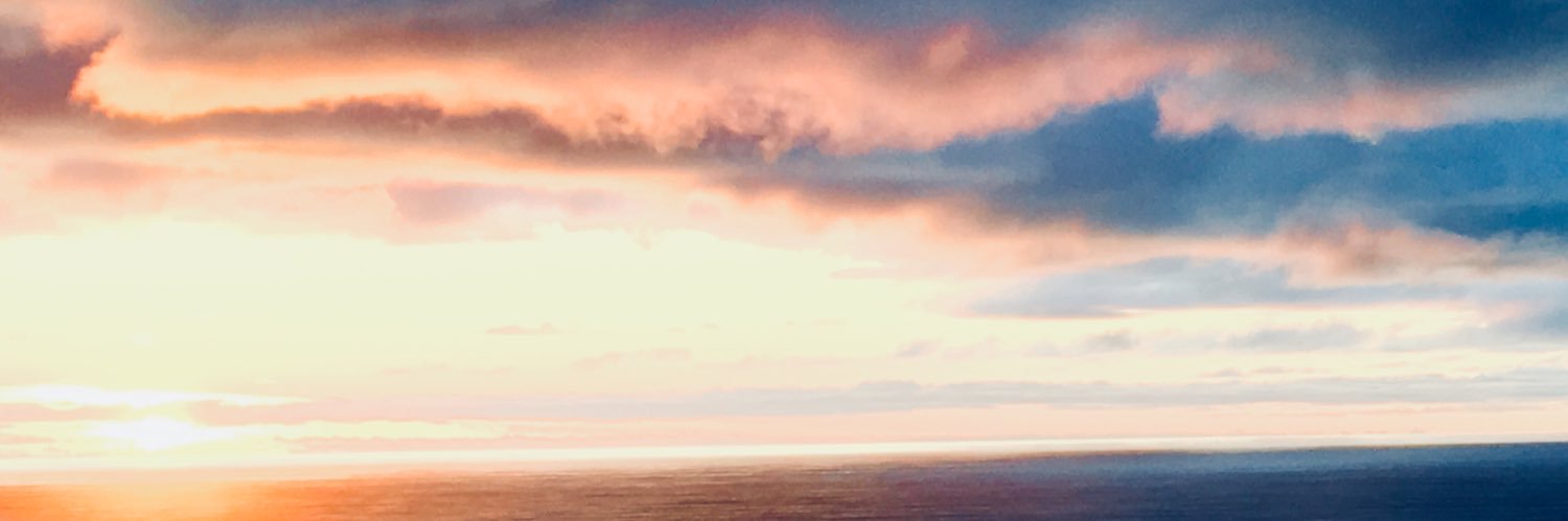 TerriCoty's profile banner image
