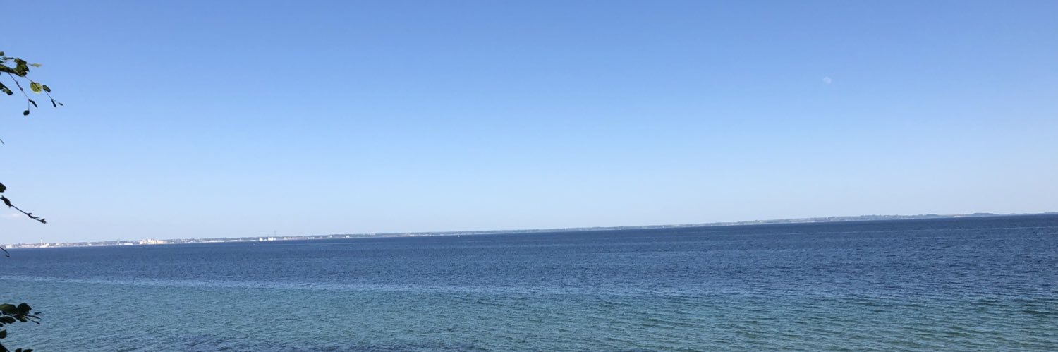 Frances du Pille banner