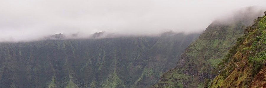 strakaps's profile banner image