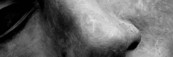 wh0am1_dev Profile Banner