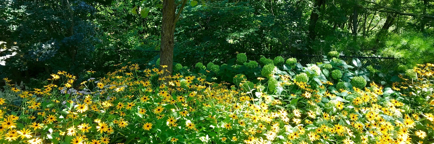 PatAndrew39's profile banner image