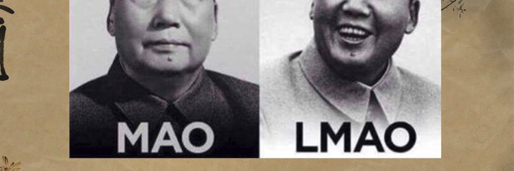 Am_a_Fool's profile banner image