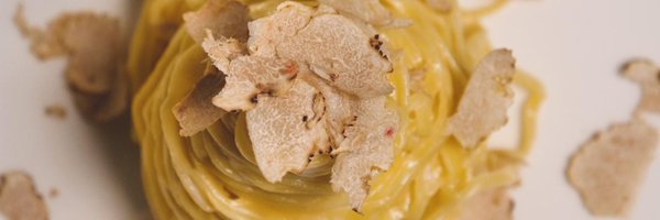 AlbaTruffle Profile Banner