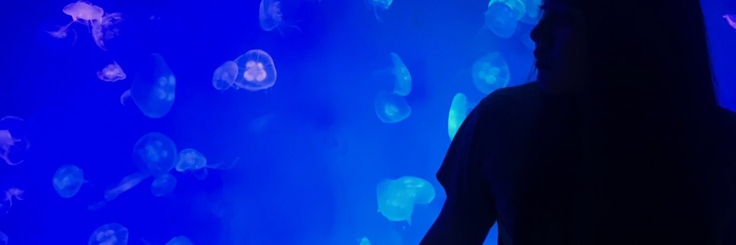 drnssrp's profile banner image