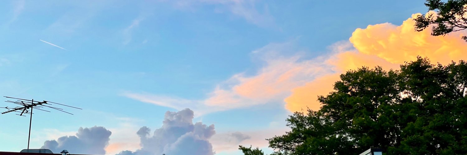 wlgooding's profile banner image