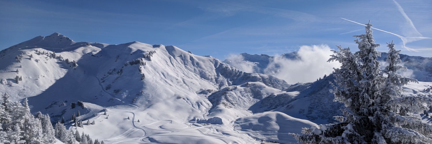 harrymilne's profile banner image