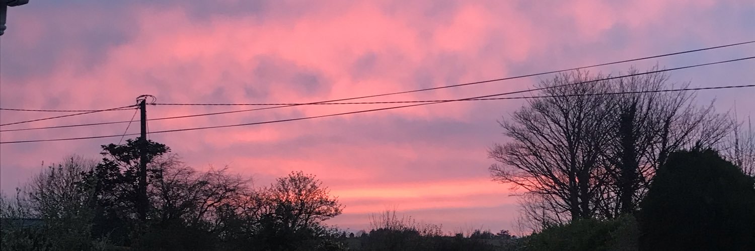 LucyQuinlan's profile banner image
