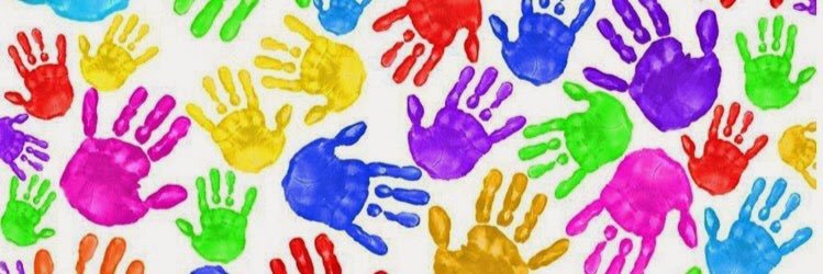 Lindsey Schaller banner