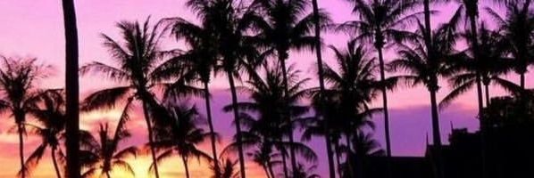 MariaMaaldonado's profile banner image