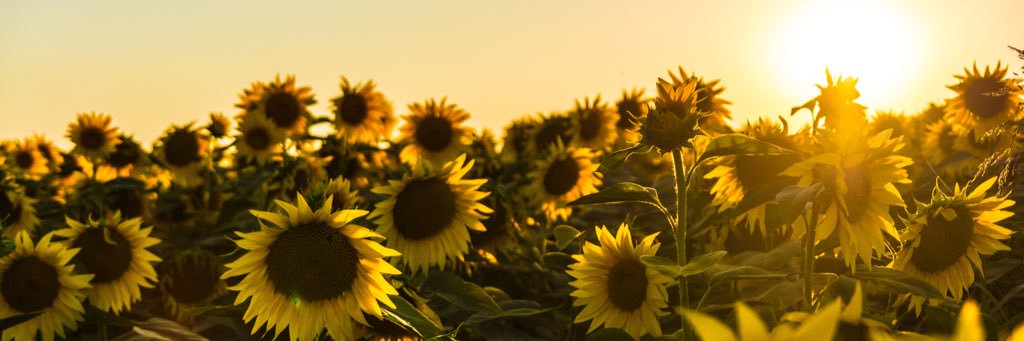 juneseow's profile banner image