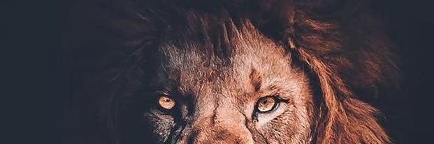 Rubén Veloso banner