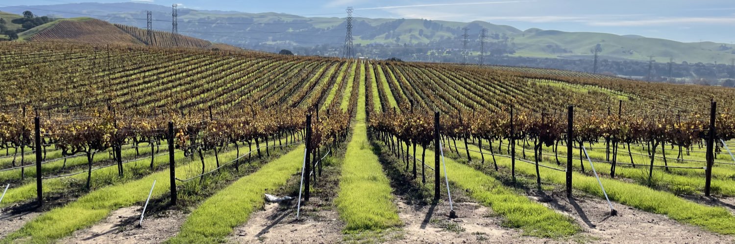 Amir 🐇🐓🐶🏇 banner