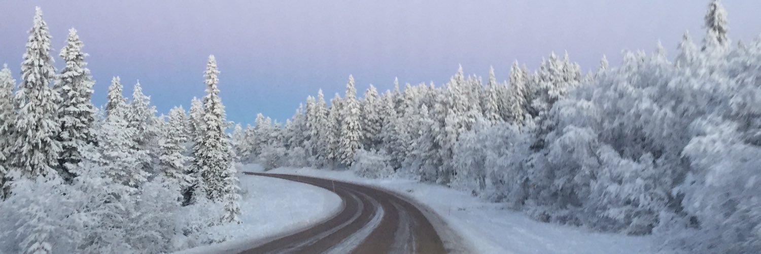 bjorklindfelix's profile banner image