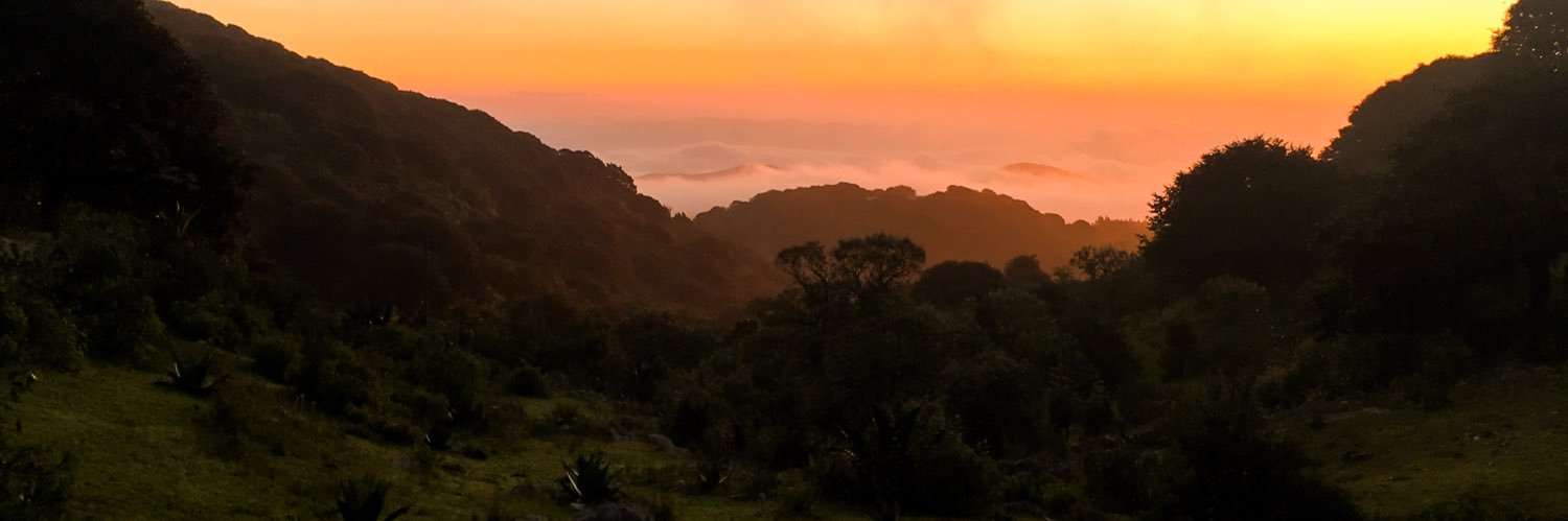 marceepeque's profile banner image