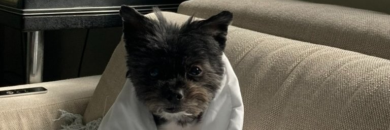 davebreske's profile banner image