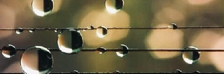 " لمووم " 💛 banner