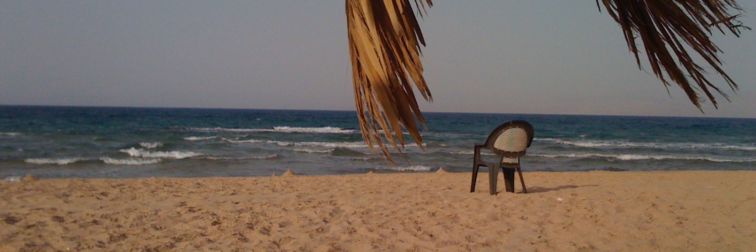 Rüdiger Heescher banner