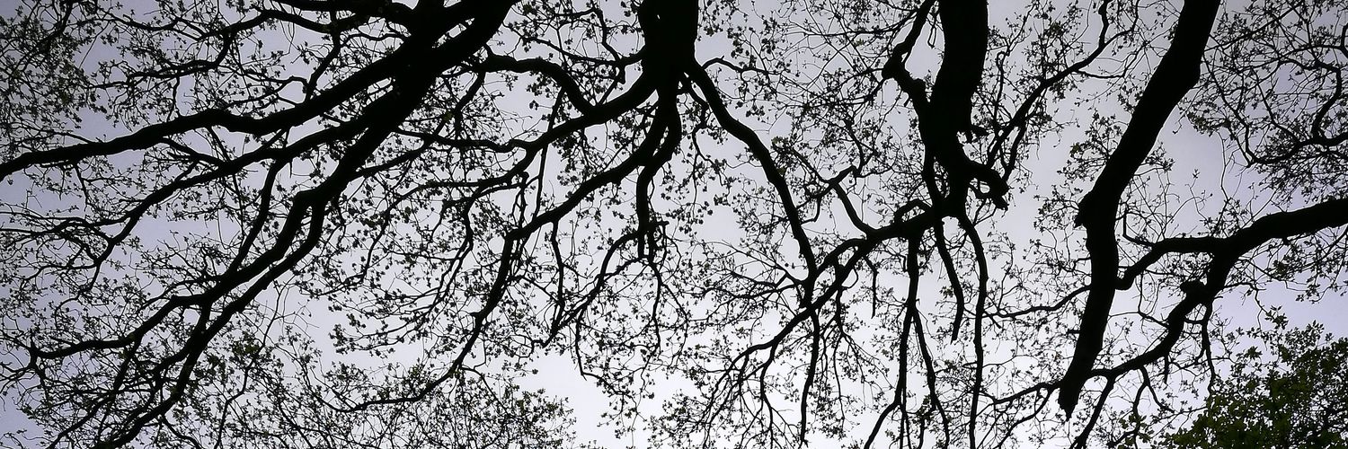 ryandanielward's profile banner image