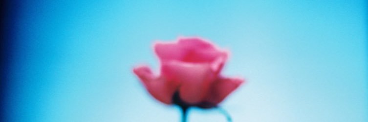 ykk3926's profile banner image