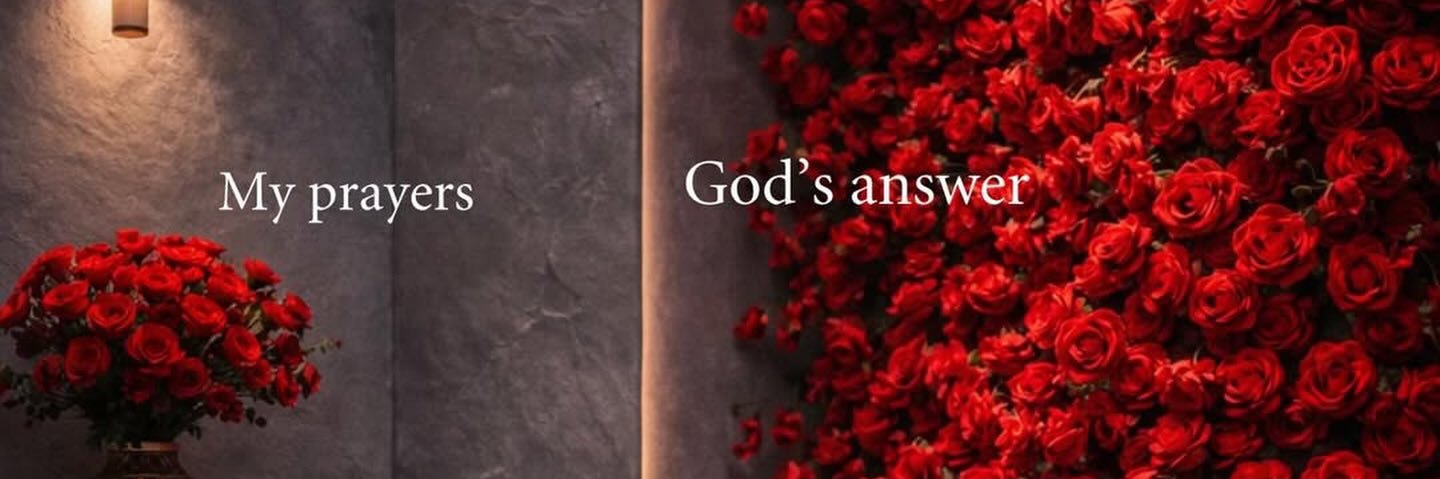 Courtney Fredrickson banner
