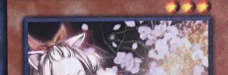 hellmet4's profile banner image