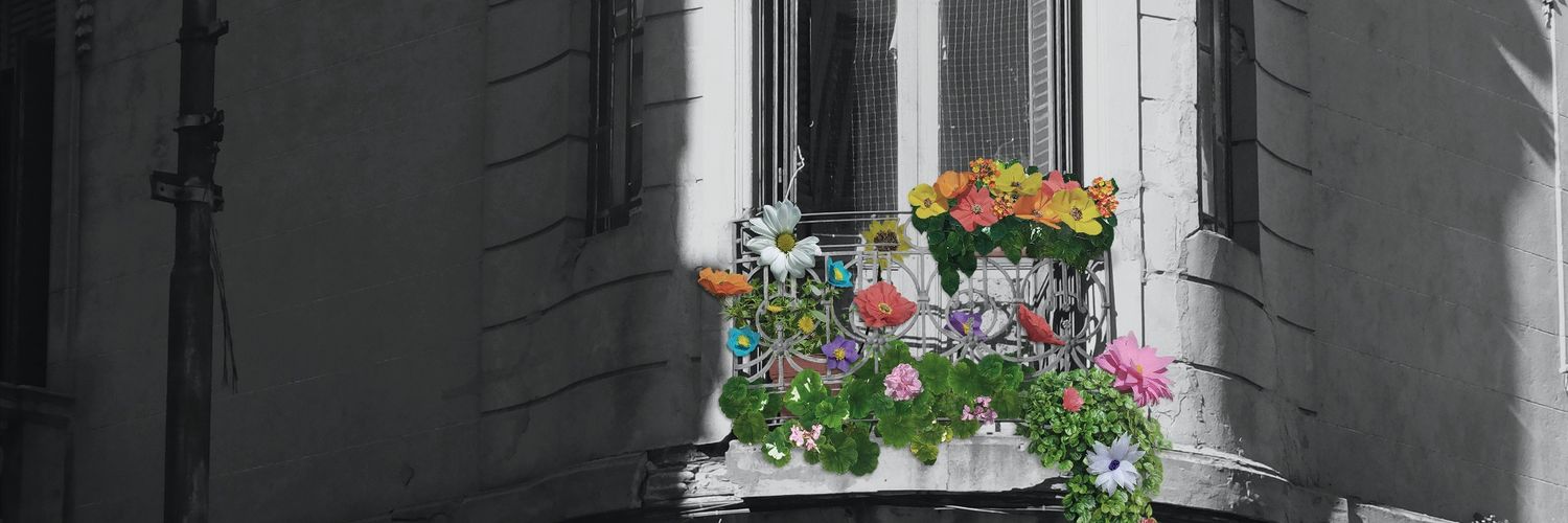 J. Rodriguez Weber banner