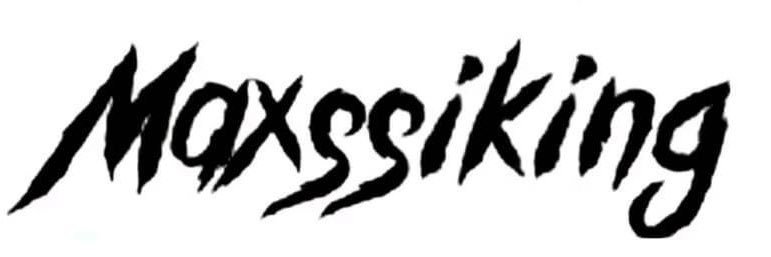 Maxssiking's profile banner image