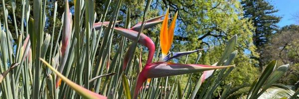 thuanpv_ Profile Banner