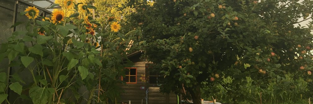 JellavanSanten's profile banner image