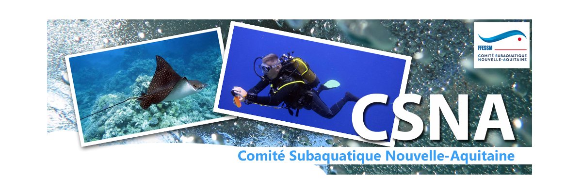 FFESSMCSNA's profile banner image