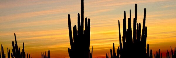 Baja_Weather Profile Banner