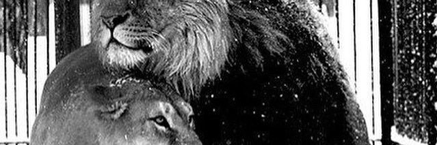 عبدالرحمن banner