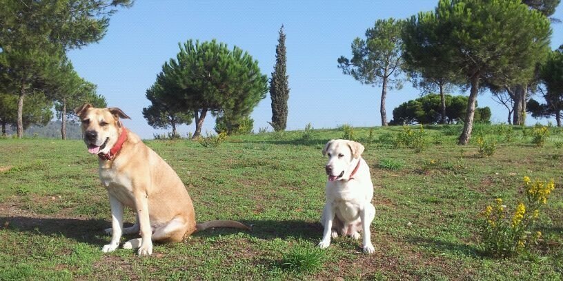 Kristian (El Gwarrior del Barri) banner