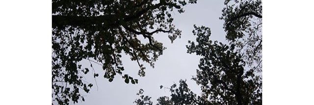 OhhSyks's profile banner image
