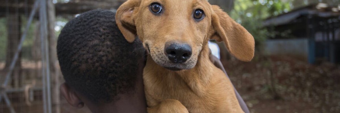 TeddyKhambe's profile banner image