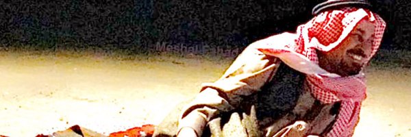 PTMeshl Profile Banner