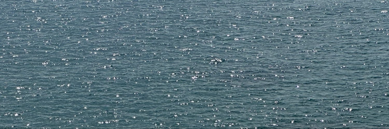 mireiamrtn's profile banner image