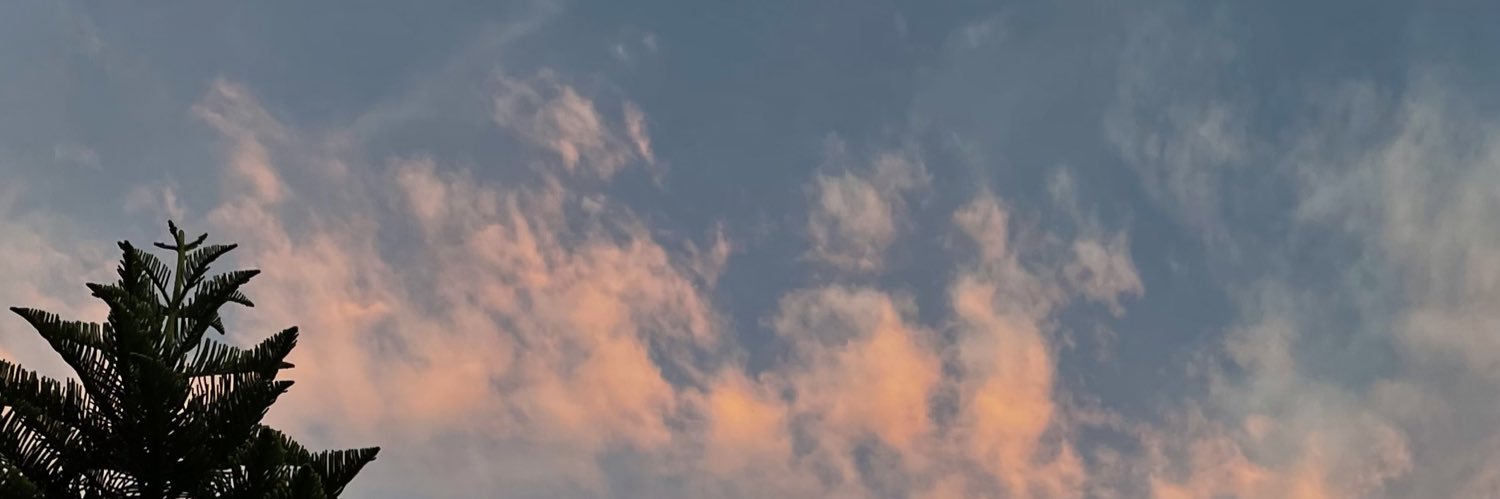 dementoide's profile banner image