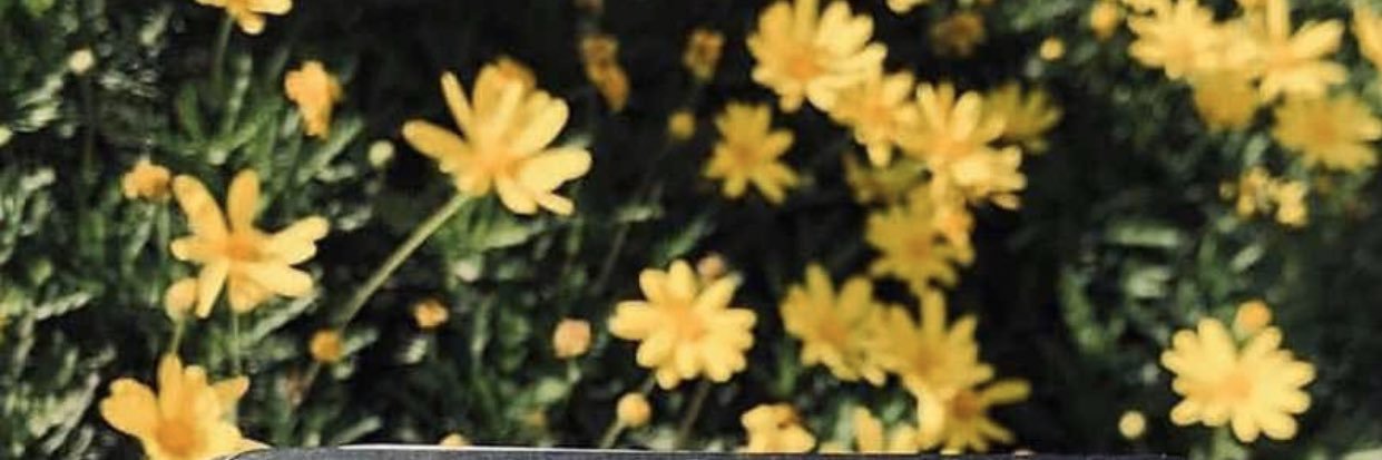 Awatef00's profile banner image