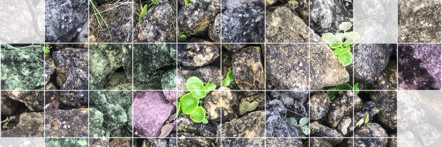 BelMa PM 💚 banner