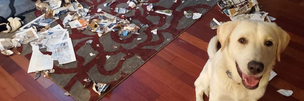 _TimOBrien Profile Banner