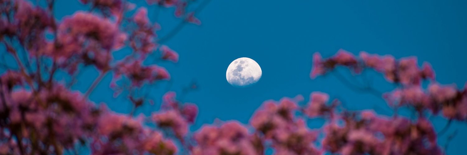 carlosperod's profile banner image
