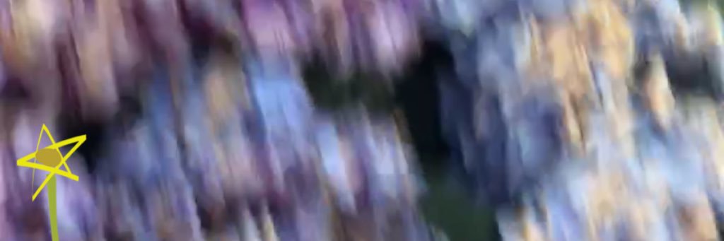 stopfaisal's profile banner image