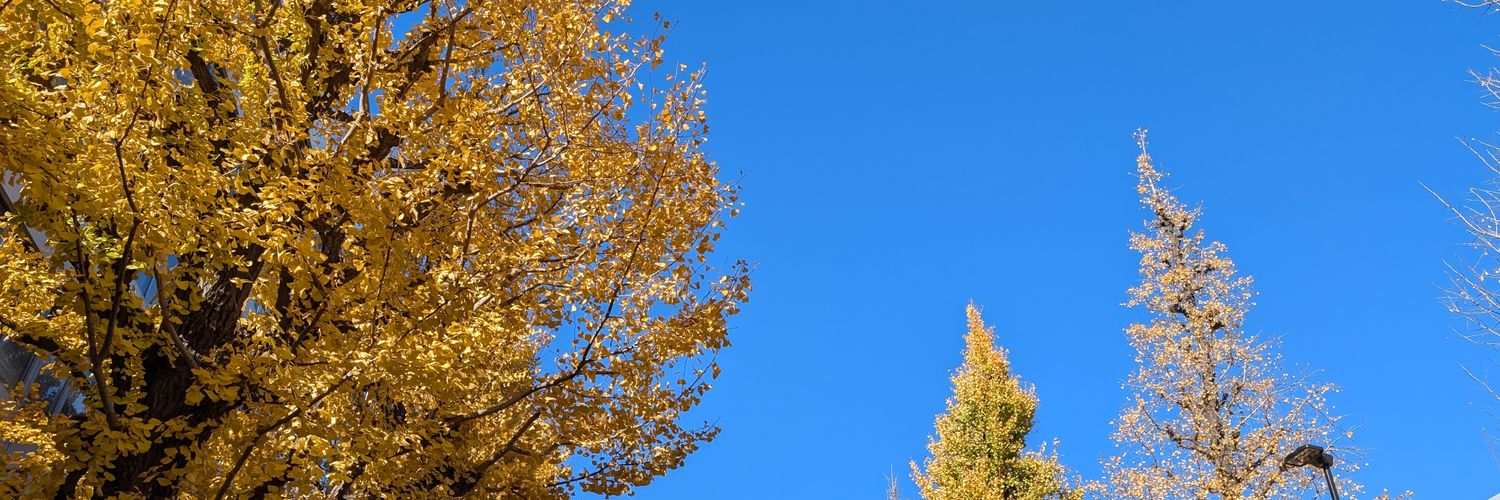 clover2138's profile banner image
