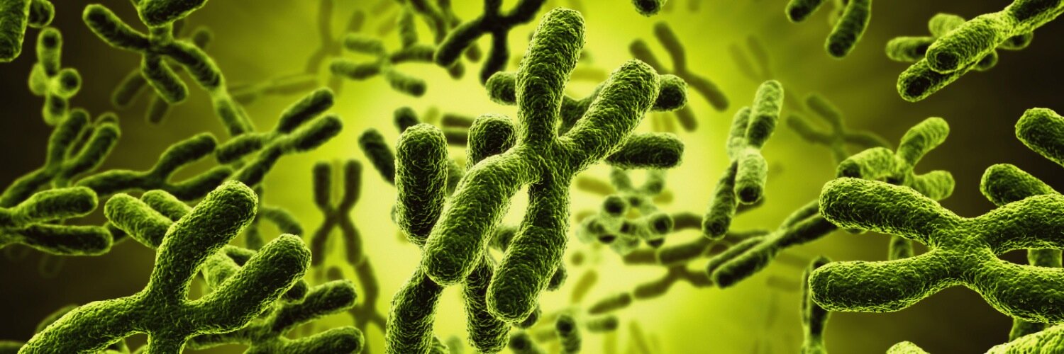 BiotroveInvest's profile banner image