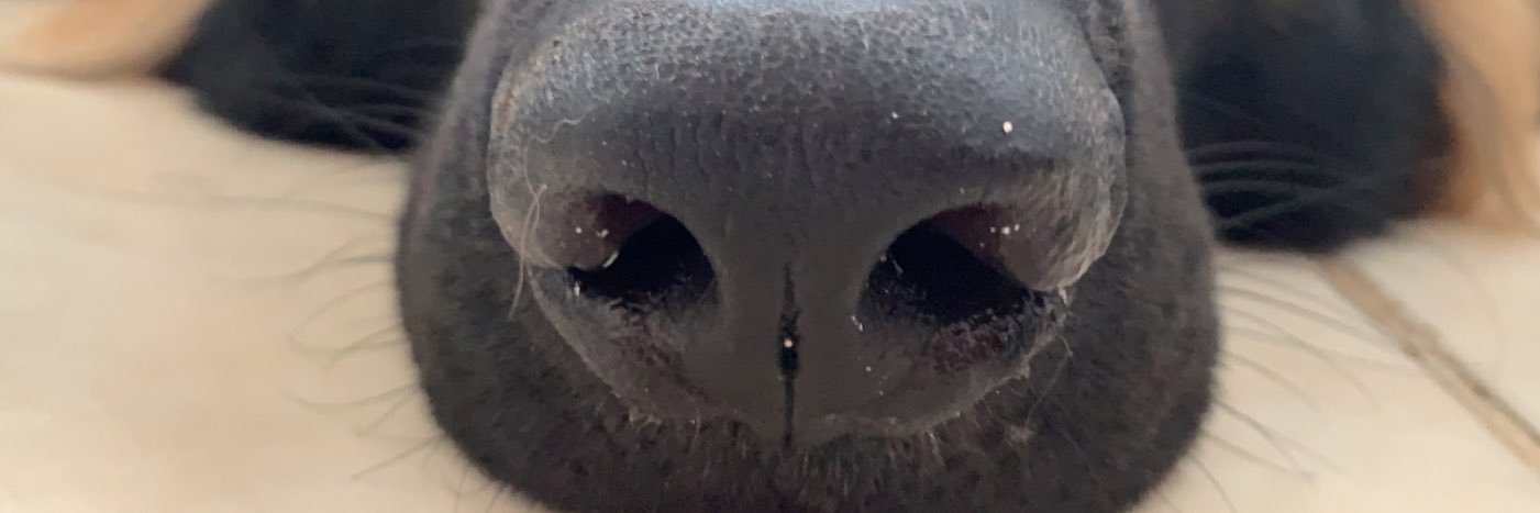 Suregan12's profile banner image