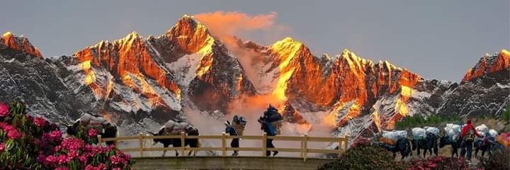 ⚜️⚜️राजा⚜️⚜️ banner