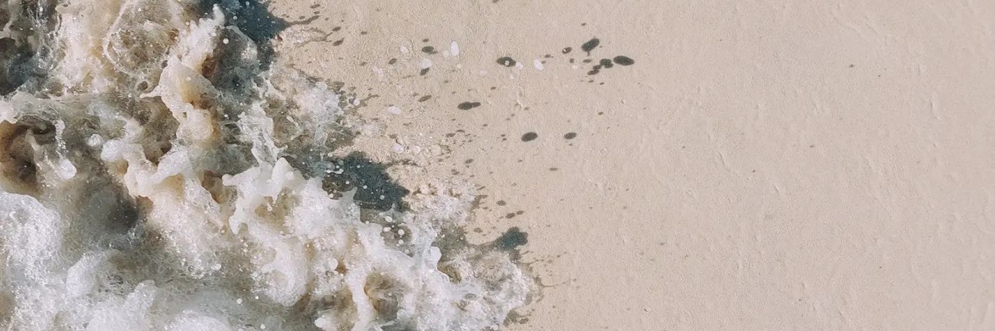 Selenevicentin's profile banner image