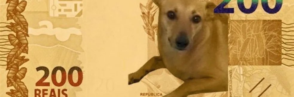 🄺🄰🄳🅄 banner